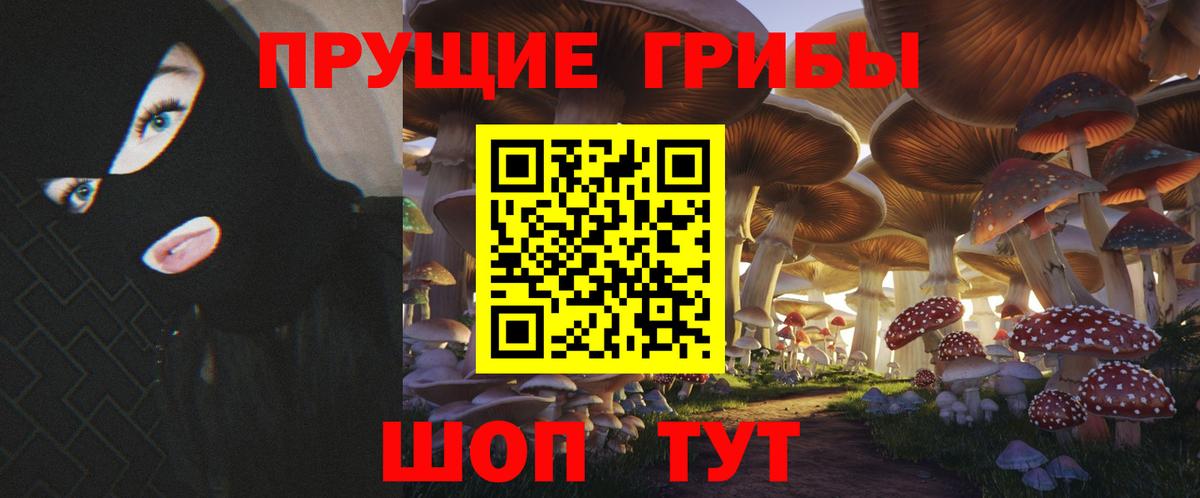 Тимашёвск  Галлюциногенные грибы Magic Shrooms  Вход с VPN  Псилоцибиновые грибы прущие грибы 
